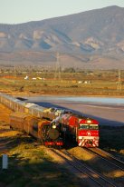 Great Southern Rail&#039;s Ghan parallel runs with the Afghan Express re-creating the original Ghan